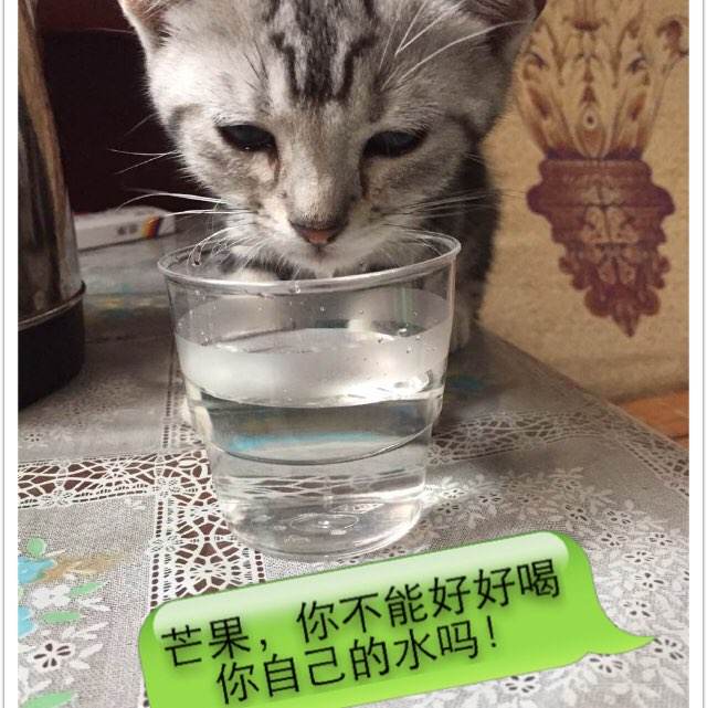 哪里可以办马里兰州结婚证